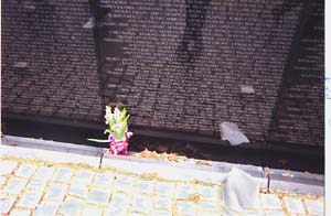 The Vietnam Memorial